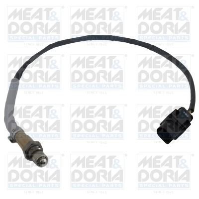 Oxygen Sensor